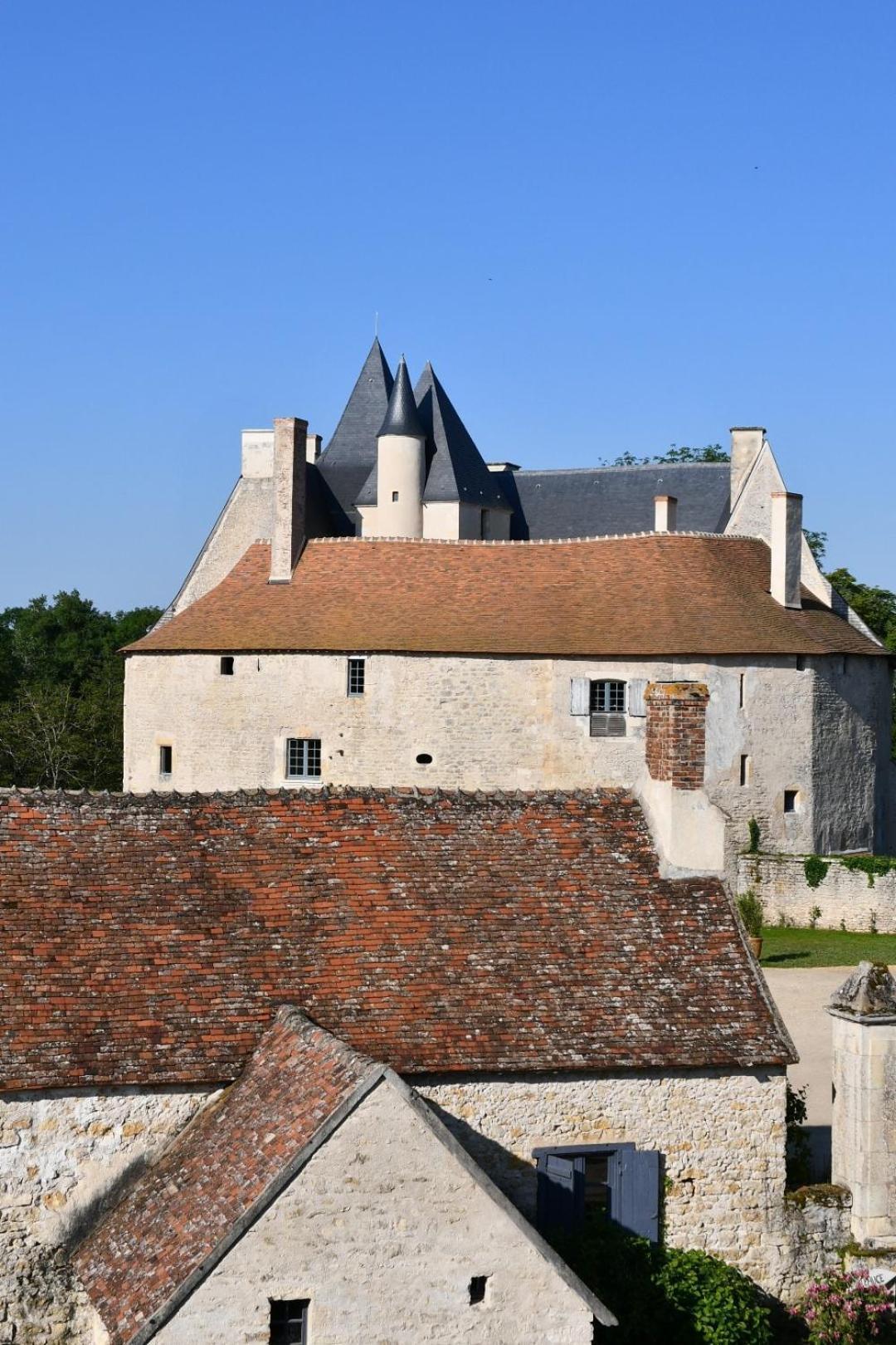 Chateau De Meauce, Gite Du Vigneron Saincaize-Meauce Экстерьер фото